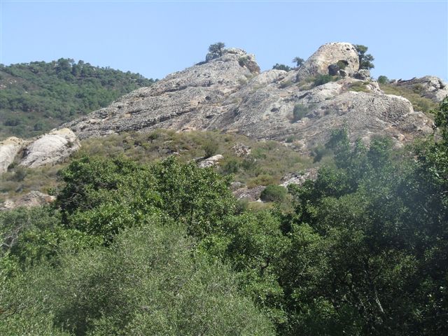 taxomara 2008 (50)